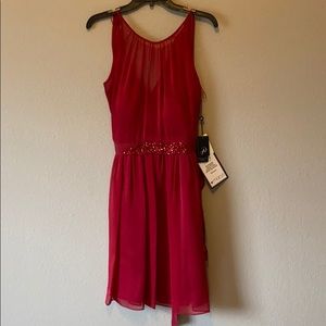 NWT gorgeous cherry dress